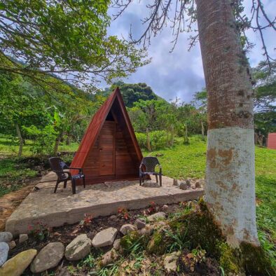 WhatsApp Image 2023-06-26 at 2.39