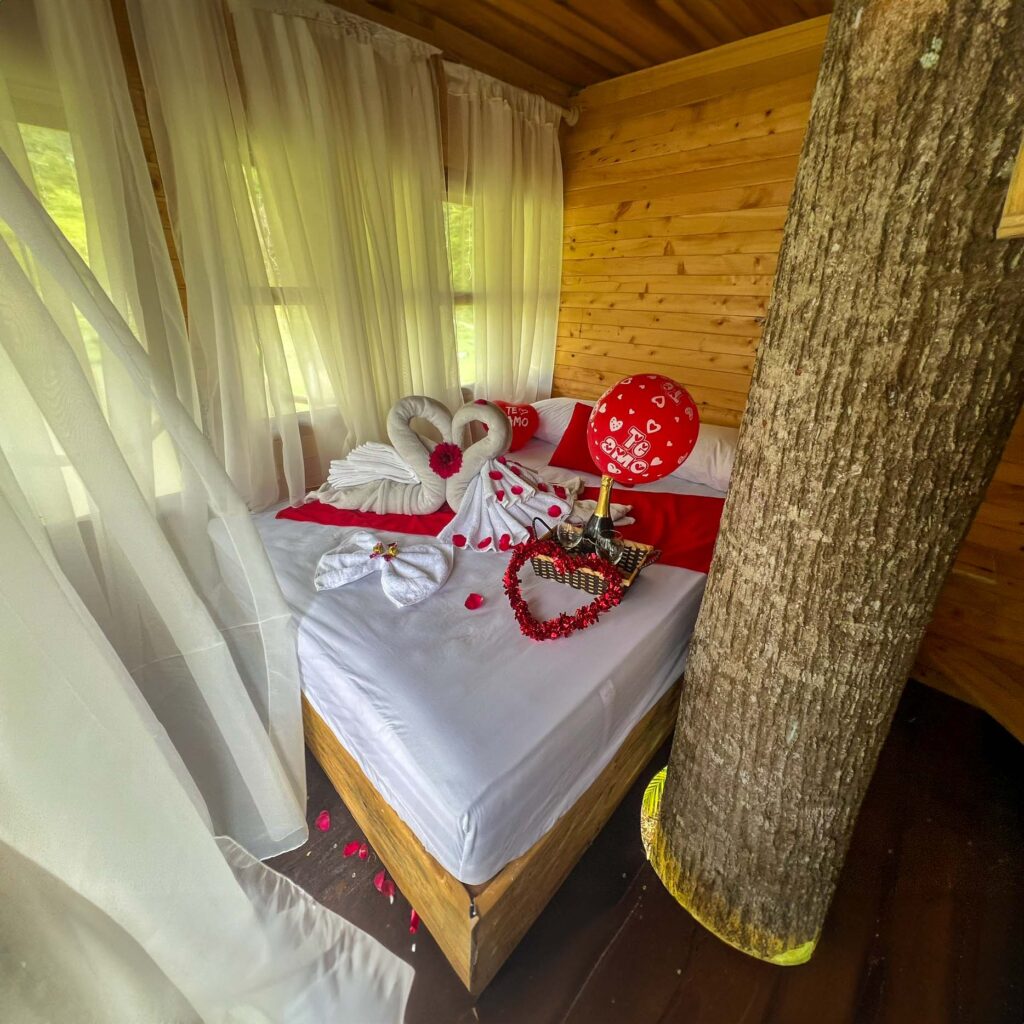 Decoración Romantica