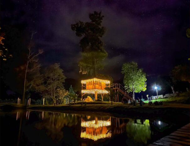 Casita en el arbol reflejada en el lago