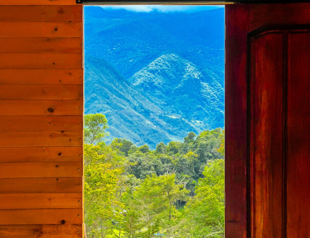 Vista Carruaje del oeste