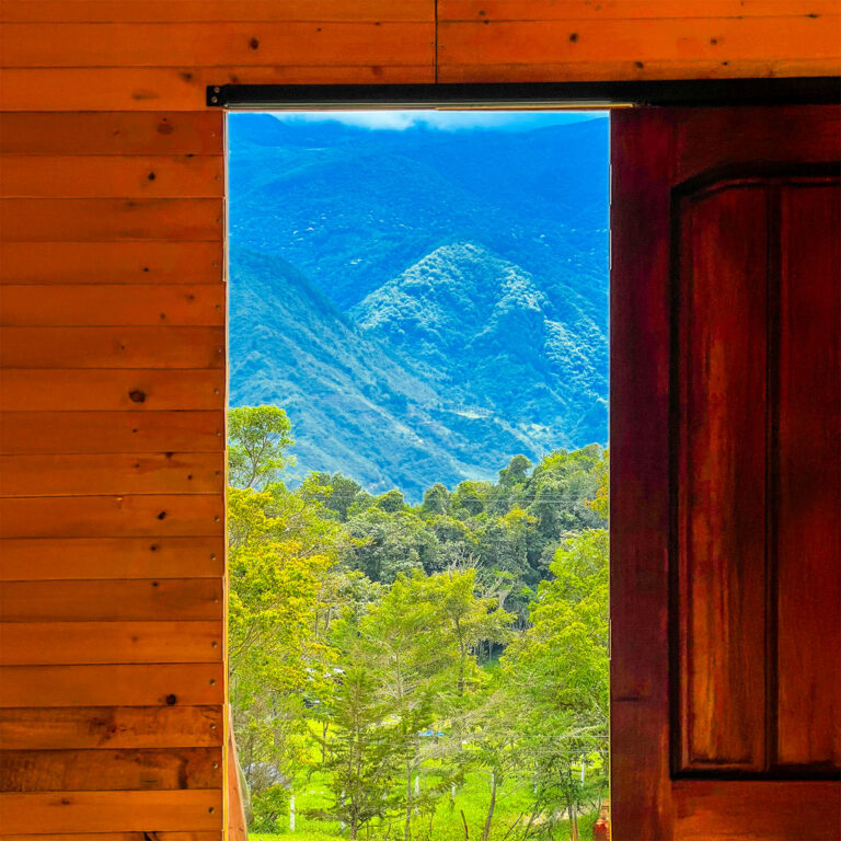 Vista Carruaje del oeste