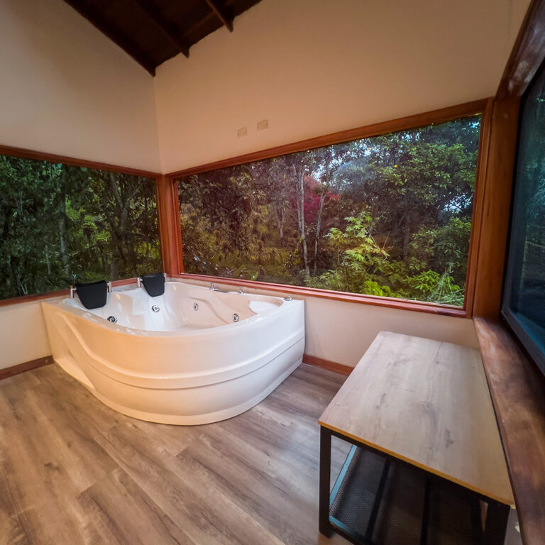 Habitación principal Cabaña Deluxe